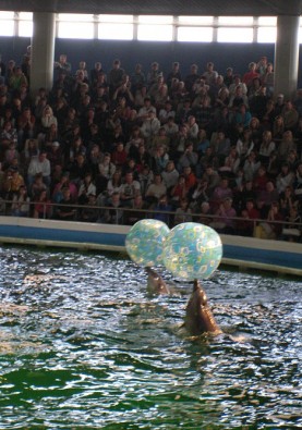 Kopā ar delfīniem šeit mitinās arī Kalifornijas jūras lauvas Lija un Henris (1996. gadā atceļoja no Vācijas Duisborgas zoologiskā dārza), kā arī mazulis Basta , kas dzimusi 2001. gadā un šobrīd jau piedalās šovos