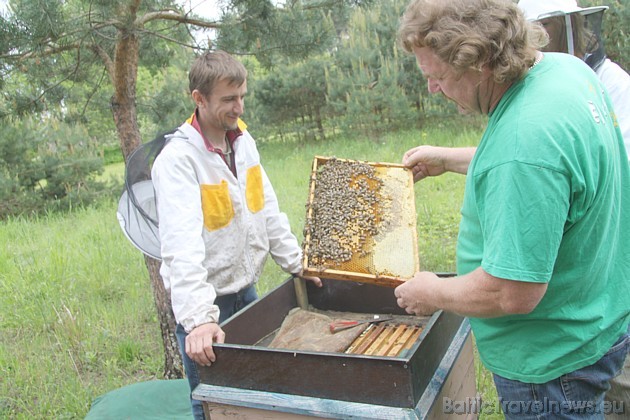Bišu stropā var jau noprovēt jauno medu