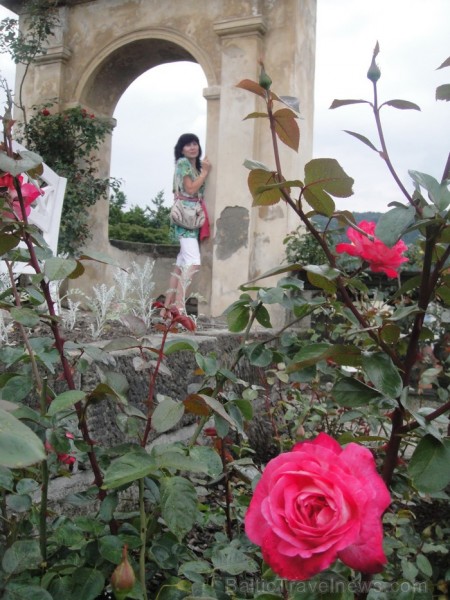 Dečinas rožu dārzi. Remiro Travel piedāvā braucienus 2013. gada jūlijā un augustā uz Saksijas un Bohēmijas Šveici. Foto: www.remirotravel.lv