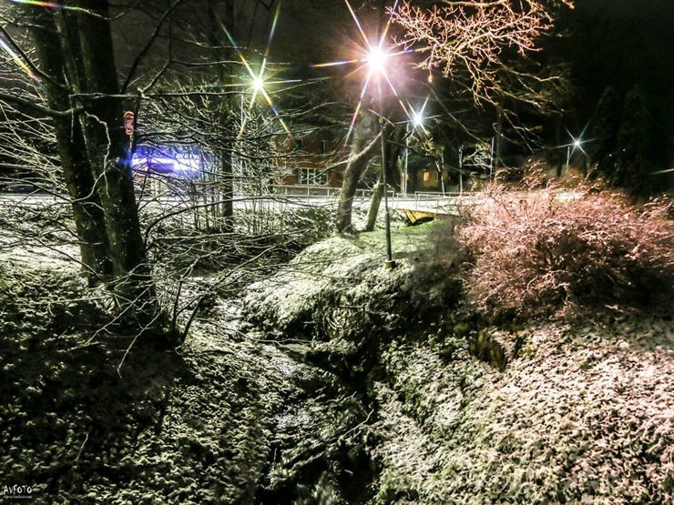 Burvīgā Madona pielaiko ziemu. Foto: Agris Veckalniņš 295088