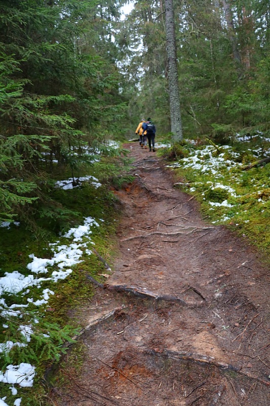 Travelnews.lv iepazīst Līgatnes upes apkārtni 27 km pārgājienā 295253