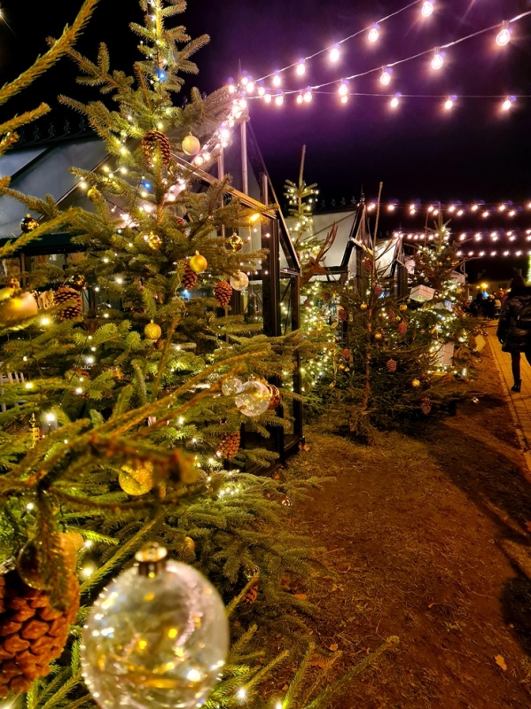 Vidzemes pilsēta Valmiera pošas Ziemassvētkiem. Foto: Valmieras pilsētas pašvaldība un Vija Zvejniece Vidzemes pilsēta Valmiera pošas Ziemassvētkiem. Foto: Valmieras pilsētas pašvaldība un Vija Zvejniece 295648