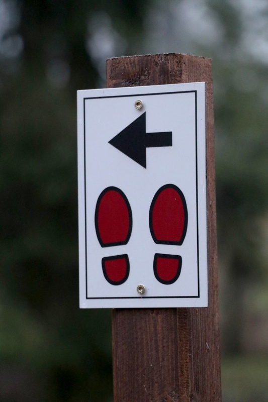 Travelnews.lv dodas 17 km garā Baldones dabas takas maršrutā 295835