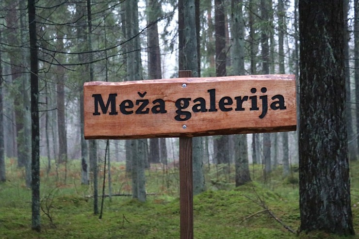 Travelnews.lv dodas 17 km garā Baldones dabas takas maršrutā 295837