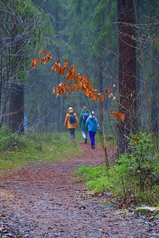 Travelnews.lv dodas 17 km garā Baldones dabas takas maršrutā 295838