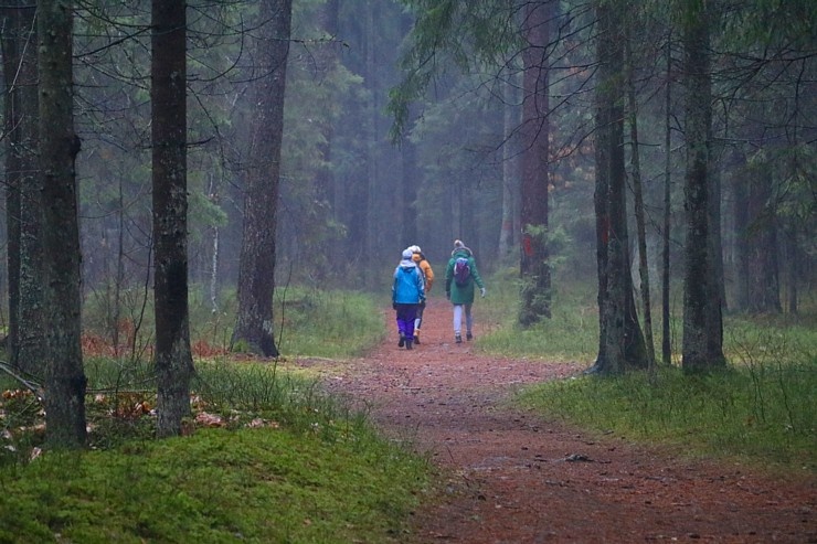 Travelnews.lv dodas 17 km garā Baldones dabas takas maršrutā 295845
