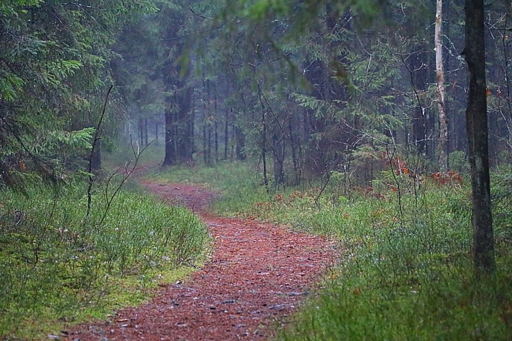 Travelnews.lv dodas 17 km garā Baldones dabas takas maršrutā 295854