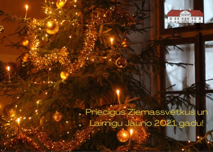 Travelnews.lv redakcijā ienāk Ziemassvētku un Jaungada apsveikumi! Padures muiža - Paldies! 296028