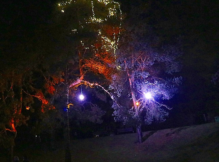 Sarkandaugavas svētku izgaismojums pulcē vakara pastaigai rīdziniekus 296090