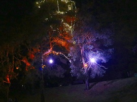 Sarkandaugavas svētku izgaismojums pulcē vakara pastaigai rīdziniekus 12