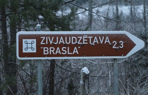 Travelnews.lv noiet 13 km gar Brasas upi un apmeklē Varšavu iezi 3