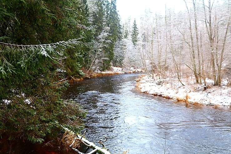 13 km pārgājiens gar Braslas upi un Virtakas iezi iepriecina Travelnews.lv redakciju 296147
