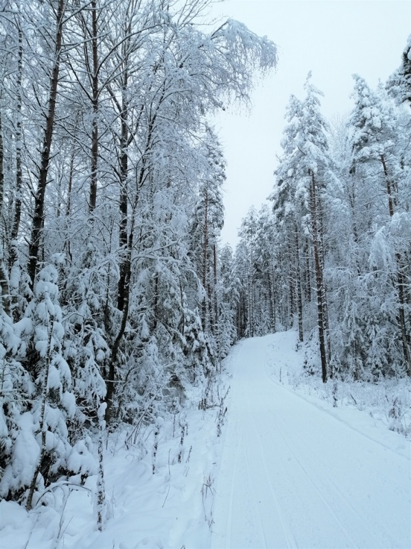 Viļakā var baudīt īstu ziemu. Foto: Visitvilaka.lv 296464