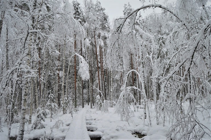 Viļakā var baudīt īstu ziemu. Foto: Visitvilaka.lv 296475