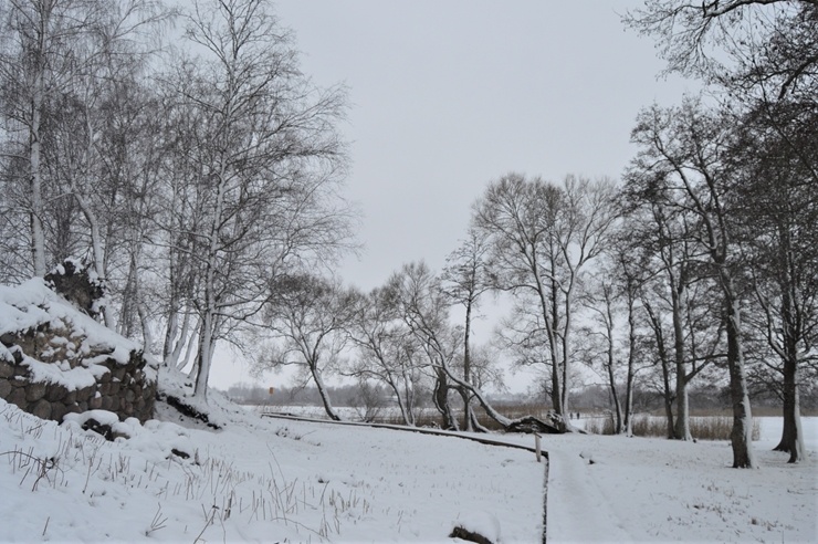 Viļakā var baudīt īstu ziemu. Foto: Visitvilaka.lv 296479