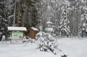 Viļakā var baudīt īstu ziemu. Foto: Visitvilaka.lv 1