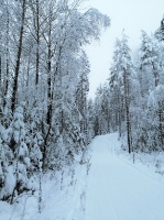 Viļakā var baudīt īstu ziemu. Foto: Visitvilaka.lv 4