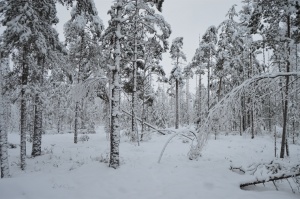 Viļakā var baudīt īstu ziemu. Foto: Visitvilaka.lv 13