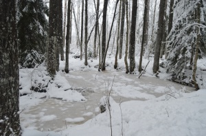 Viļakā var baudīt īstu ziemu. Foto: Visitvilaka.lv 16