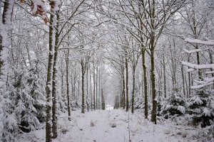 Kad Latgales pilsētu Ludzu pārklāj sniegs