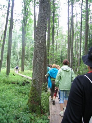 Minhauzena meža takas garums ir 3,1 vai 5,3 km 15940