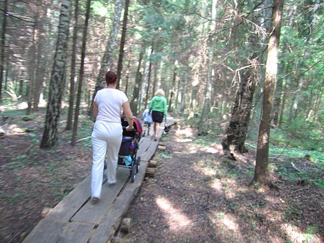 Minhauzena meža taka - tā ir draudzīga vieta kopīgai atpūtai ģimenēm ar pavisam maziem bērniem 15946