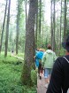 Minhauzena meža takas garums ir 3,1 vai 5,3 km 5