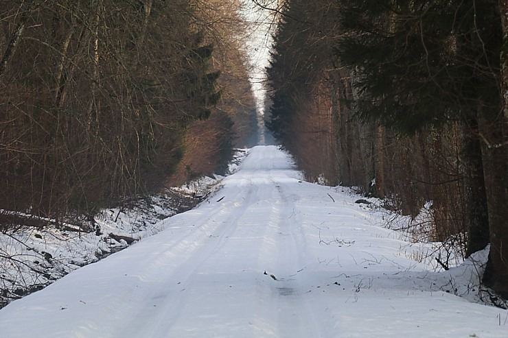 Travelnews.lv dodas 25 km pārgājiena maršrutā Veczemju klintis - Tūja 297107