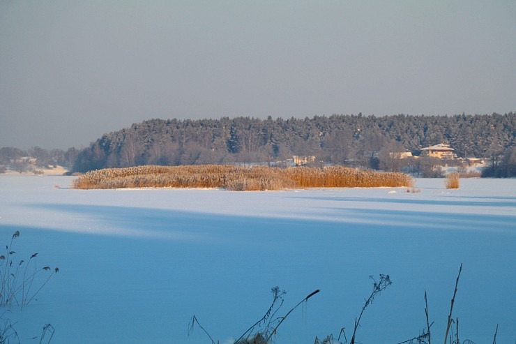 Travelnews.lv dodas Doles salas 13 km pārgājienā pie -14 grādiem Salaspils novadā 297458