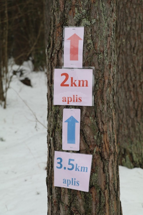 Ogres Zilo kalnu distanču slēpošanas trases ir pieprasīts ziemas aktivitāšu centrs 297889
