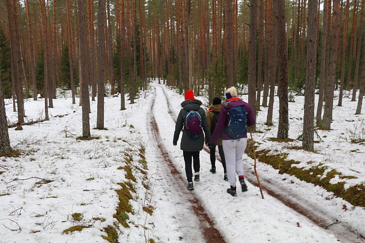 Travelnews.lv sadarbībā ar auto nomu «Sixt Latvija» dodas pārgājienā Silenes apkārtnē 298029