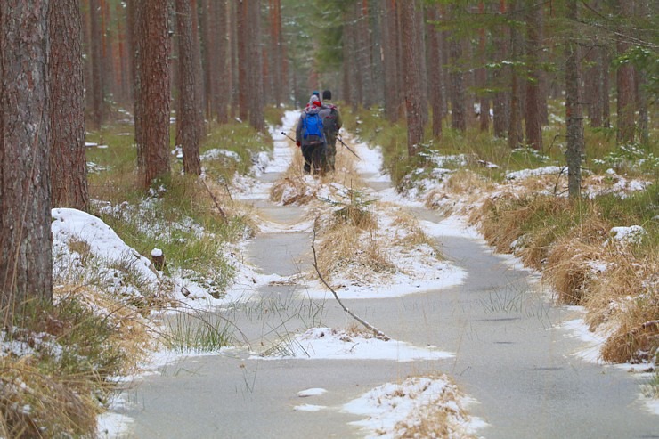 Travelnews.lv dodas 37 km pārgājienā Dundagas apkārtnē 3.daļa 298263