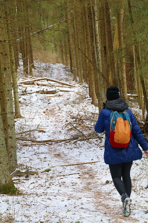 Travelnews.lv dodas 31 km pārgājienā Zilupes un Dagdas novadā gar Krievijas un Baltkrievijas robežu 298628