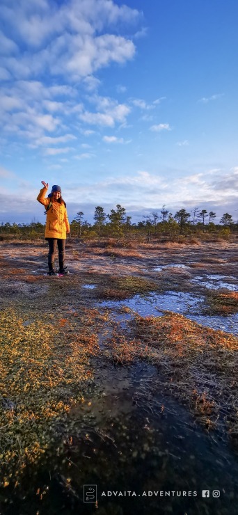 Advaitaadventures.lv: Piedzīvo saullēktu purva gājienā ar purva kurpēm 300314