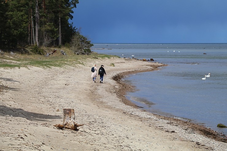 Travelnews.lv 20 km pārgājienā iepazīst Rīgas jūras līča krastu Engures pusē 300934
