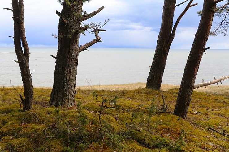 Travelnews.lv 20 km pārgājienā iepazīst Rīgas jūras līča krastu Engures pusē 300918