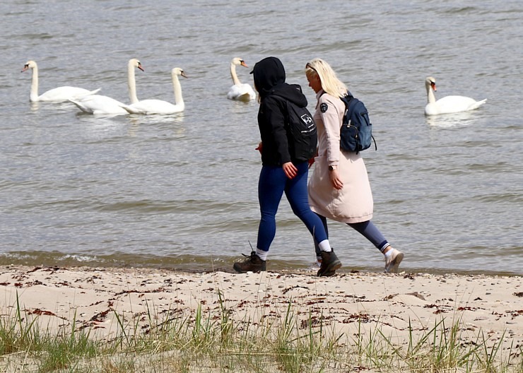 Travelnews.lv 20 km pārgājienā iepazīst Rīgas jūras līča krastu Engures pusē 300919
