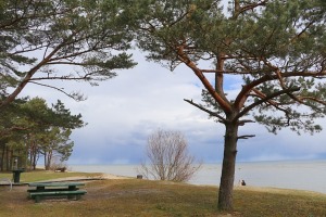 Travelnews.lv 20 km pārgājienā iepazīst Rīgas jūras līča krastu Engures pusē 12