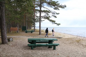 Travelnews.lv 20 km pārgājienā iepazīst Rīgas jūras līča krastu Engures pusē 18
