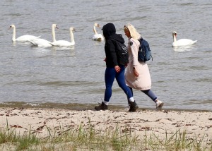 Travelnews.lv 20 km pārgājienā iepazīst Rīgas jūras līča krastu Engures pusē 4