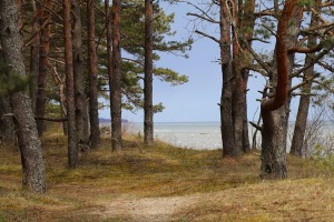Travelnews.lv 20 km pārgājienā iepazīst Rīgas jūras līča krastu Engures pusē 5