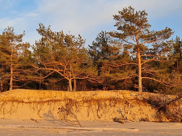 Travelnews.lv pirmo reizi apmeklē Gaujas ietekas labo krastu un Rīgas jūras līča pludmali saulrietā 301301