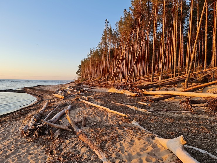 Travelnews.lv pirmo reizi apmeklē Gaujas ietekas labo krastu un Rīgas jūras līča pludmali saulrietā Travelnews.lv pirmo reizi apmeklē Gaujas ietekas labo krastu un Rīgas jūras līča pludmali saulrietā 301302