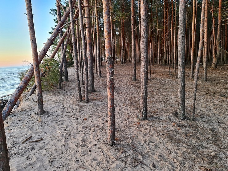 Travelnews.lv pirmo reizi apmeklē Gaujas ietekas labo krastu un Rīgas jūras līča pludmali saulrietā 301317