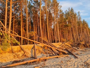 Travelnews.lv pirmo reizi apmeklē Gaujas ietekas labo krastu un Rīgas jūras līča pludmali saulrietā 11