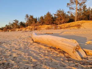 Travelnews.lv pirmo reizi apmeklē Gaujas ietekas labo krastu un Rīgas jūras līča pludmali saulrietā 19