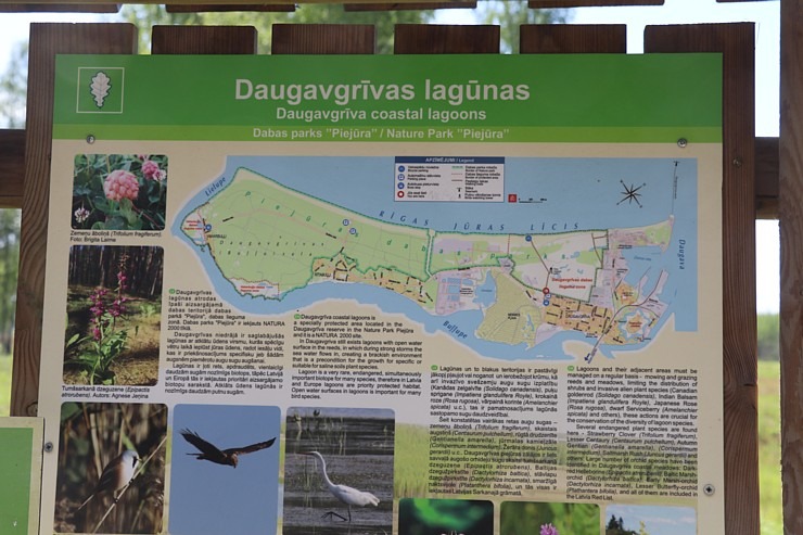 Travelnews.lv iepazīst Daugavgrīvas lagūnas un pludmali 301434
