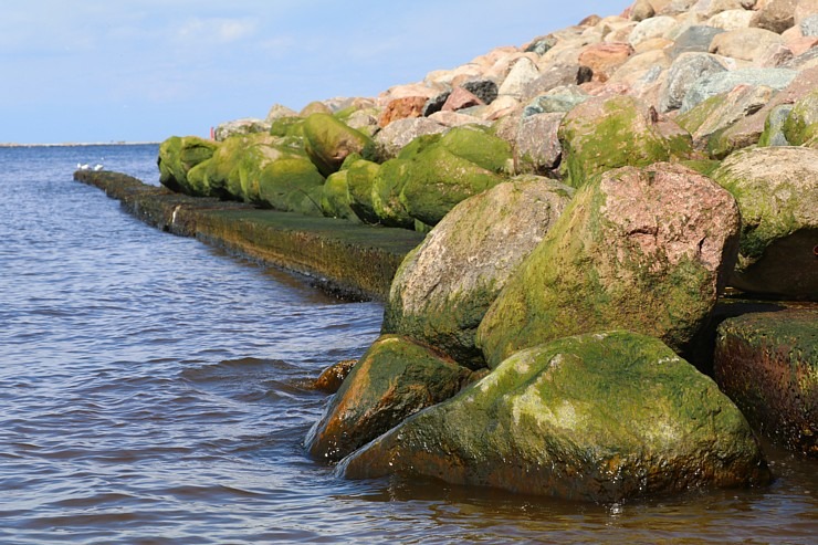 Travelnews.lv iepazīst Daugavgrīvas lagūnas un pludmali 301440