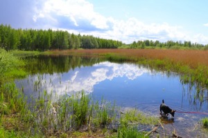 Travelnews.lv iepazīst Daugavgrīvas lagūnas un pludmali 5