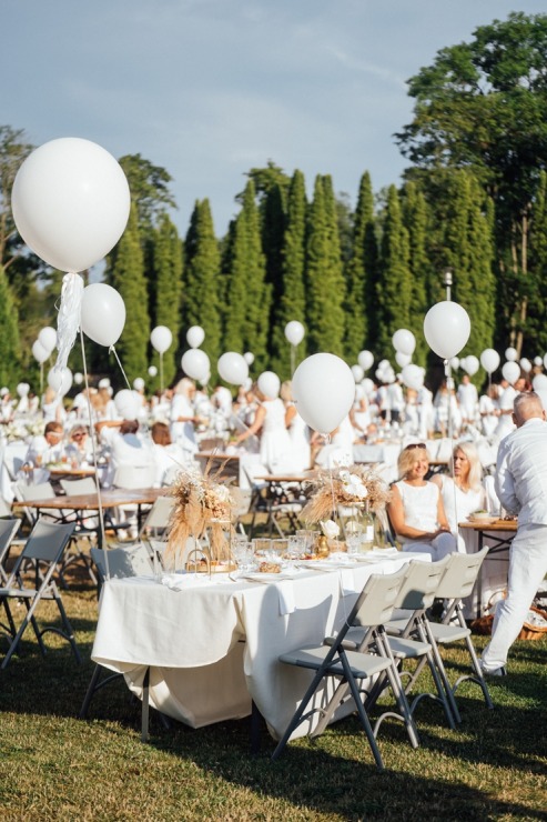 Baltais pikniks šovasar aizvadīts Siguldas pils parkā 304826